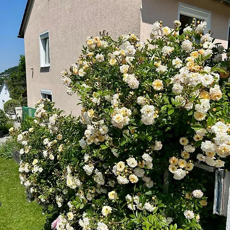 Baerbel