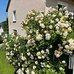 Baerbel