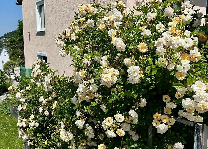 Baerbel